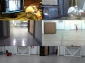 Collision avoidance method for multi-operator multi-robot teleoperation system - 2