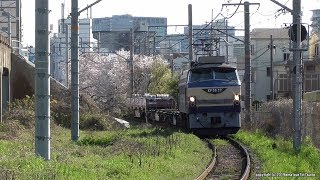 JR貨物　配給貨物列車(配6866ﾚ)を牽引するEF66 27号機を撮影（H31.4.9)