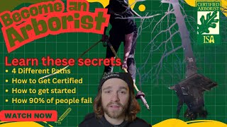 How to Become an Arborist in 2026: The Zero to Hero Roadmap