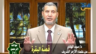 قصة البقرة / الشيخ السيد الهادى / على قناة الفتح الفضائية