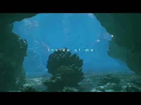 PAX JAPONICA GROOVE - Inside of me