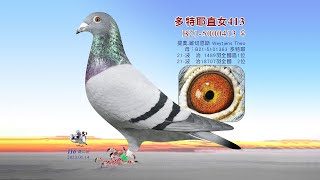 提奧.維切恩斯B21-5000413