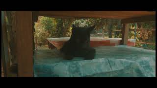 Sony Xperia 1 mark2 motion cam slog 3+luts test