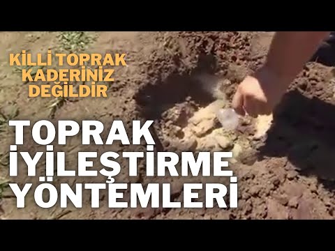 Toprağı YUMUŞATMAK için ETKİLİ Yöntemler I Killi toprak alçı jips uygulaması kompost