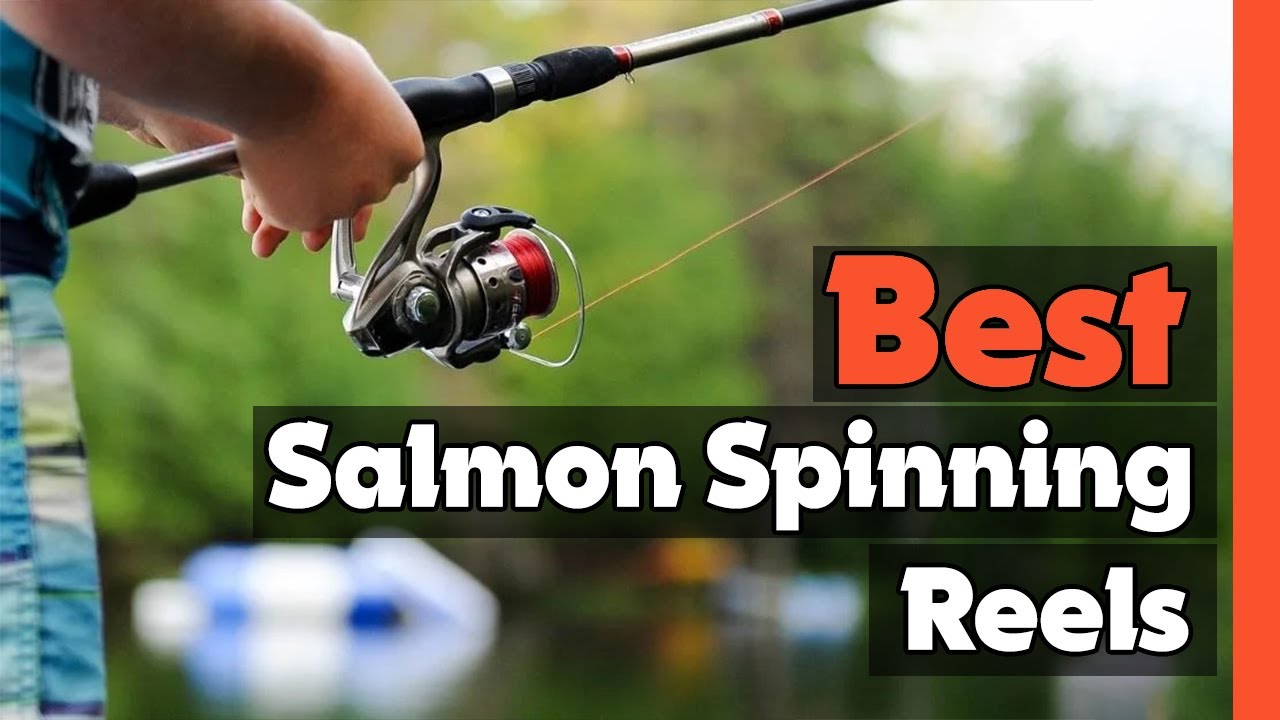 ✓Top 5: Best Salmon Spinning Reels In 2023 🎣 [ Best Salmon Baitcasting Reel  ] 