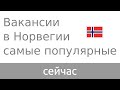 Вакансии в Норвегии самые популярные сейчас