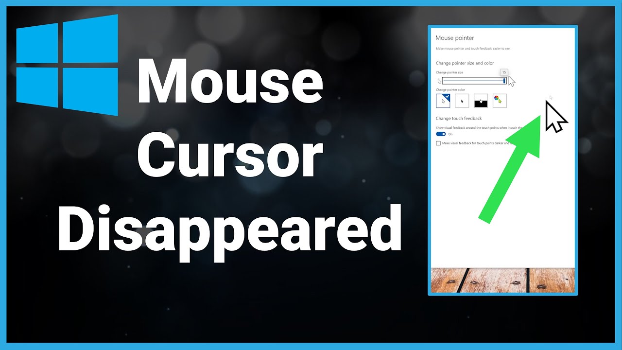 why do cursors disappear on windows 10