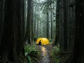 Dreamy green landscapes for peace #raincamping #campingvideos #solocamping #tentcamping #bubbletent