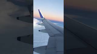 Aisa office chahiye😍 #shorts #ashortaday #cabincrew#viral