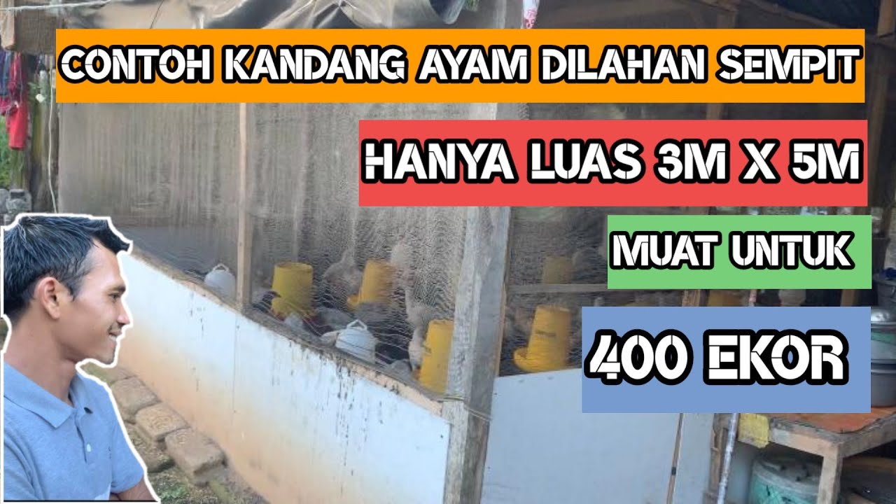 CONTOH KANDANG  PEMBESARAN AYAM  KAMPUNG PEDAGING  YouTube