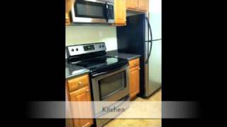 1500 Locust St. 1 Bedroom Luxury Apartment #2!