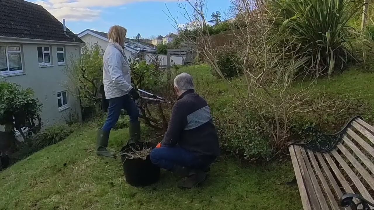 Tidying our garden in South Devon