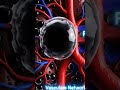 What Happens to a Polycystic Kidney 😳 3D Animation #kidneyanatomy  #3dmedical #polycystic