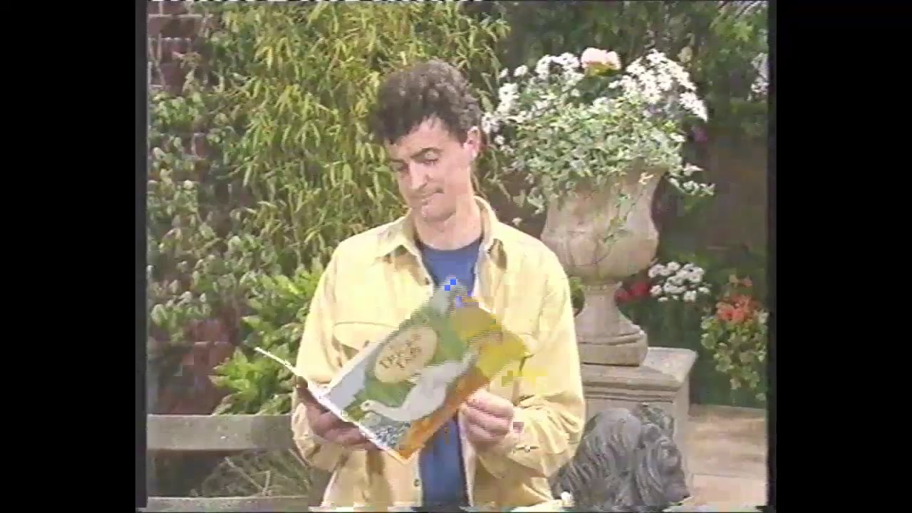 Rat a tat tat: Ducks