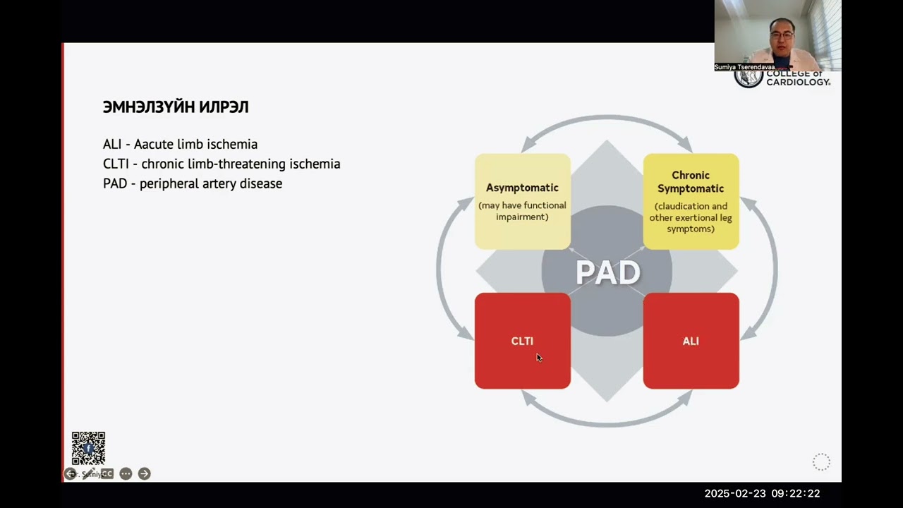 2502. Захын артерийн судасны эмгэгийн удирдамжийн шалтгаан, эмгэгжамын хэсэг