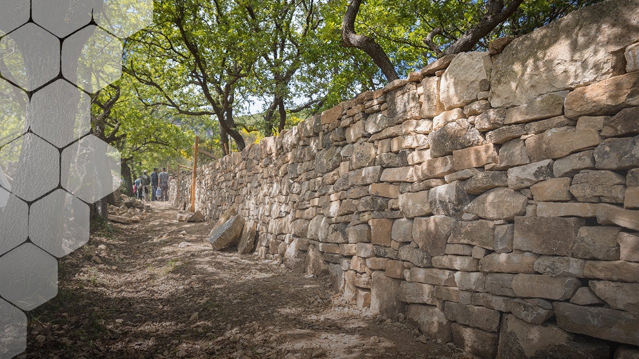 🥳‍🧑‍🎓Formation Pierre Sèche🥳‍🧑‍🎓