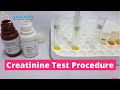 Serum Creatinine Test |  Creatinine Blood Test