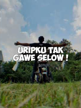 STORY WA astrea grand bulus(5)