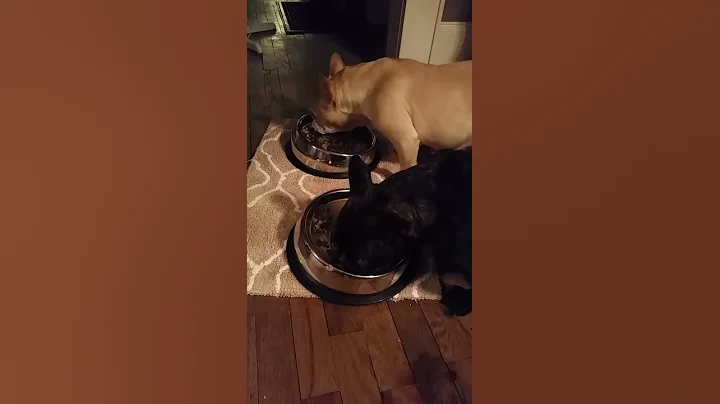 The girls' new bowls