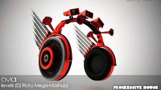 Celebrity Avicii - levels (Dj Ricky Mega-Mashup) [HD] Net Worth