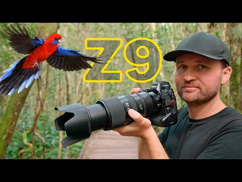 Is the Nikon Z9 the Best Wildlife Camera Ever?