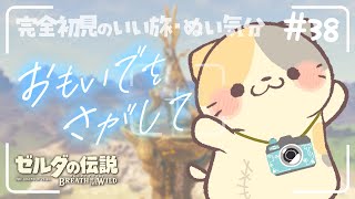 【ブレワイ】キミが想い出になる前に #38🍣いい旅・ぬい気分【ゼルダの伝説BotW/むぅたま VTuber】