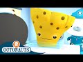 Octonauts - The Sea Sponge | Cartoons for Kids | Underwater Sea Education