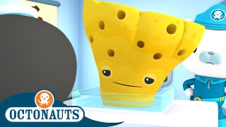 Octonauts - The Sea Sponge | Cartoons for Kids | Underwater Sea Education