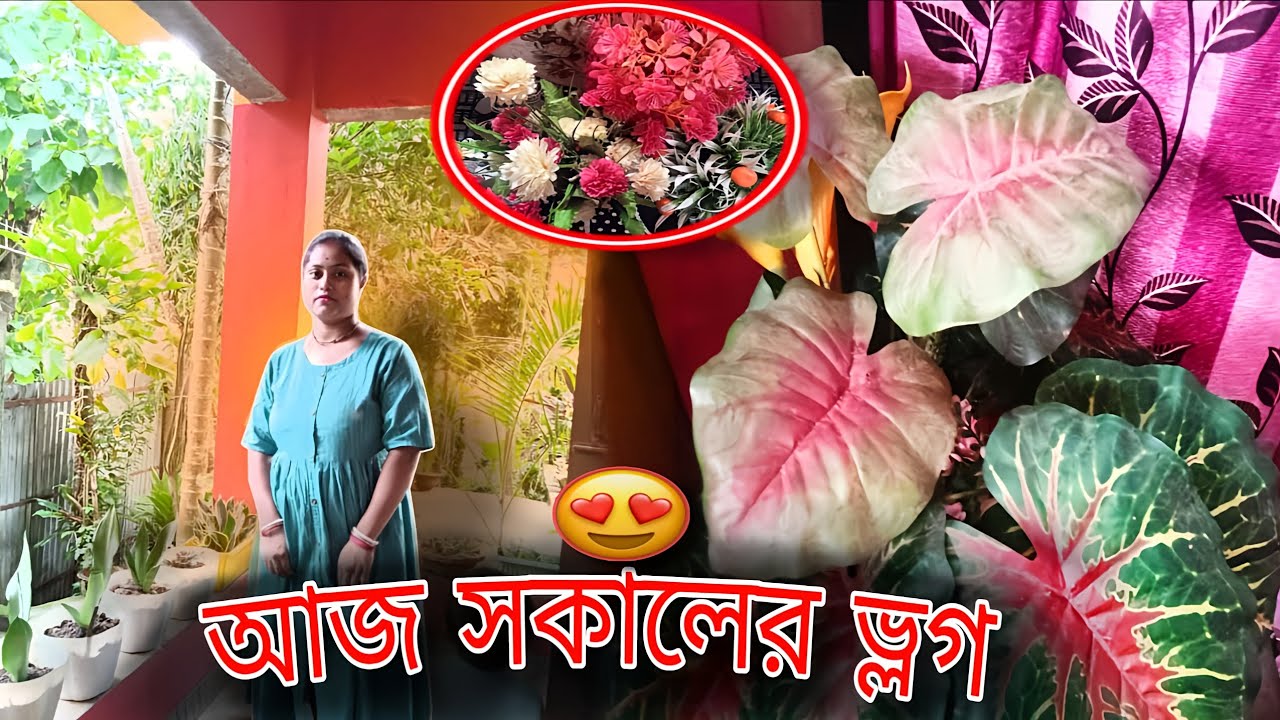 সকালের ব্যস্ত সব কাজ আর আমার ডেইলি রুটিন |
