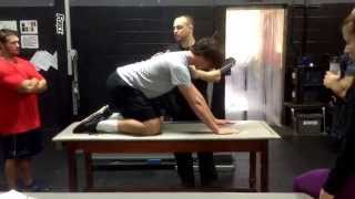 4 Way Quadruped Rocking