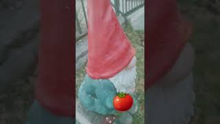 #norbot #duendes #jardin #chistoso #patio #garden #funny