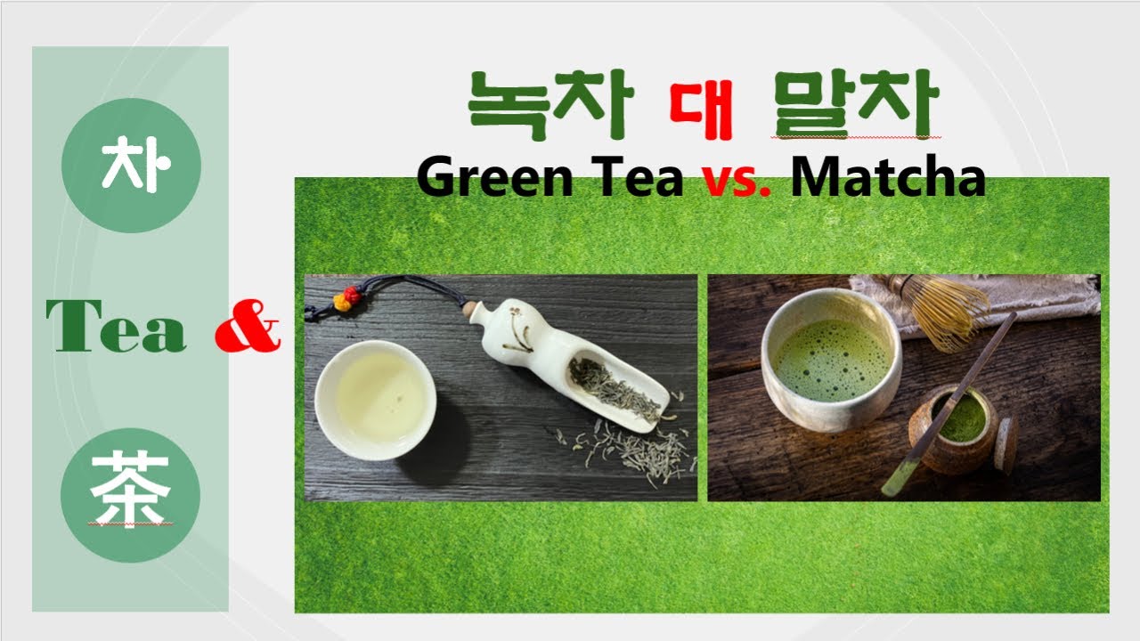녹차 대 말차 : 녹차와 말차 비교 - YouTube