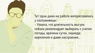 картинка: 🏠Большой Сборник Лучших Смешных Историй Из Жизни,Для Хорошего Настроения На Весь День!Дайджест!