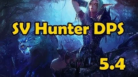 A Super Quick Guide to SV Hunter DPS 5.4
