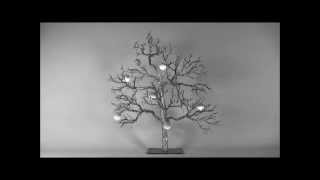 Fairy Berries Mama Berry In A Tree