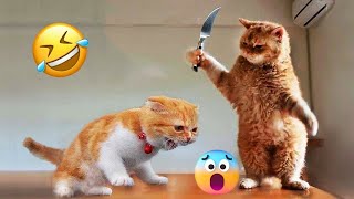 Best funny😂😂 cats and dogs video 🤣🤣|| Try not to laugh😇😇|| part#3