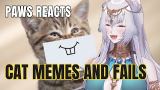 Paws Reacts to Funny Cat Memes and Fails | Funny Cat Compilation by FailArmy