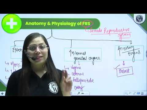 1130 Female Reproductive System 01 Anatomy and Physiology Part 1