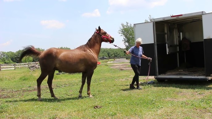 Beating the Dead Seafoam/CRC Horse with Another Question