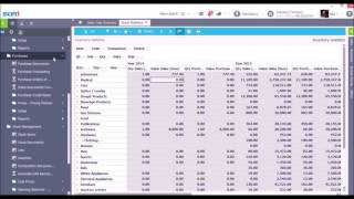 Soft1 ERP Pivot Tables International Version screenshot 4