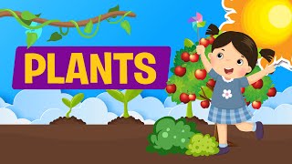 PLANTS | What is a Plant? Kinds of Plants | Science | Learn Videos for Kids | Educational Video