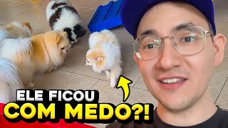 LEVAMOS O MANJERICÃO NA CRECHE! | Dearo e Manu