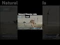 natural disaster #roblox