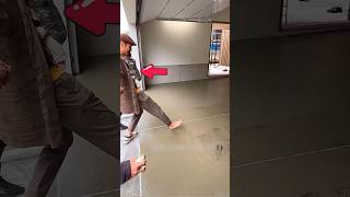 Dog Paws Made New Home Special #shortvideo #shorts #viral