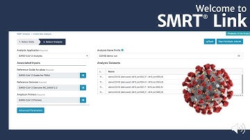 PacBio SMRT Link SARS-CoV-2 Workflow Overview