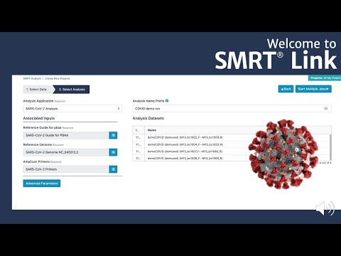 PacBio SMRT Link SARS-CoV-2 Workflow Overview