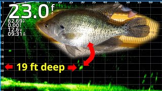 LATE SPRING OPENWATER CRAPPIE FISHING LIVESCOPE!!