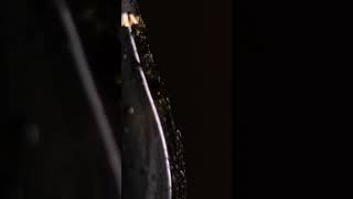 Montevi Cuvee Brut Sparkling Wine Ad By Grebenokpage