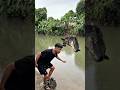 Trẻ trâu phát hiện cá sấu khổng lồ #videoshort #shortvideo