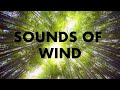 Wind Sounds for Sleep and Relaxation